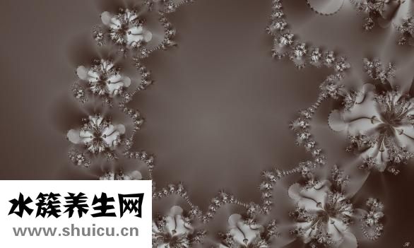 什么仇什么怨