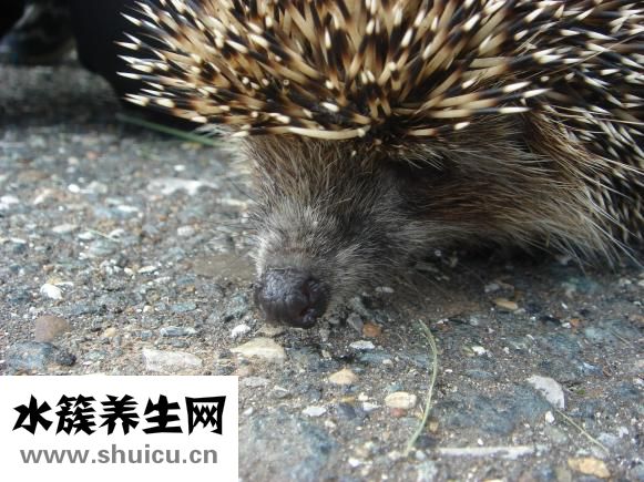 如何缩小鼻头
