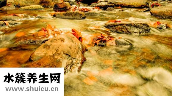 前列腺吃什么药