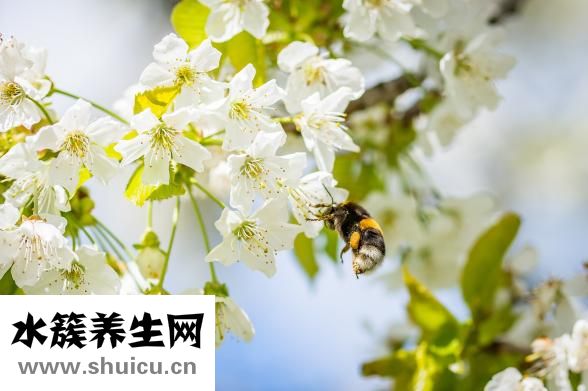 脸红怎么办