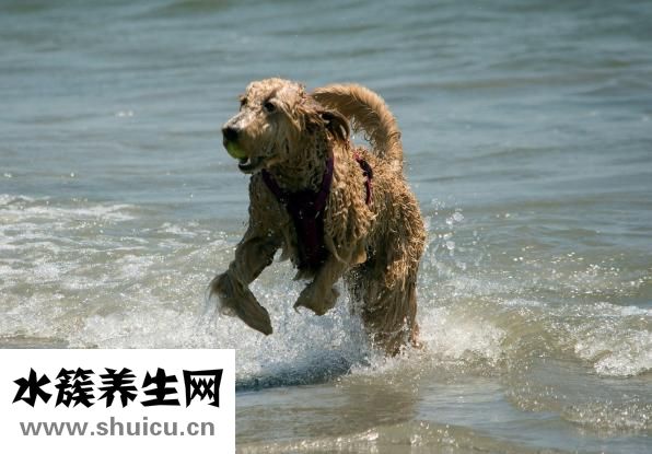 一直打嗝不止怎么办