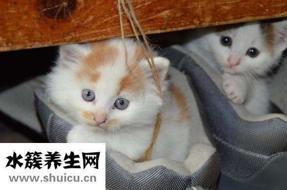 眼部皱纹怎么消除