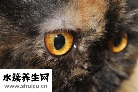 下眼皮松弛怎么办