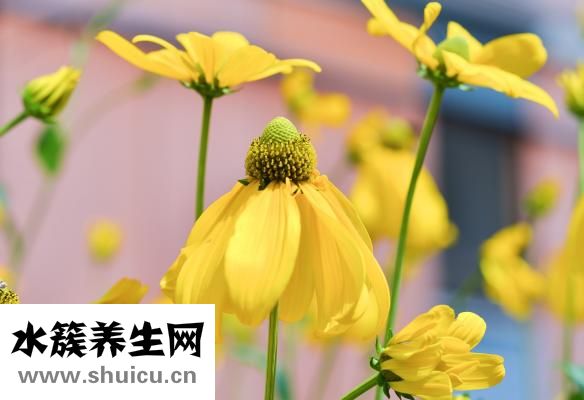 小孩子打嗝怎么办