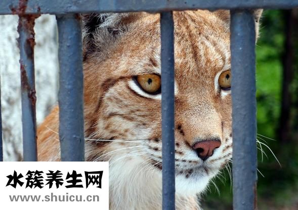 眼部皱纹怎么消除