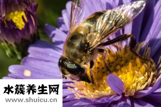 汗毛重怎么办
