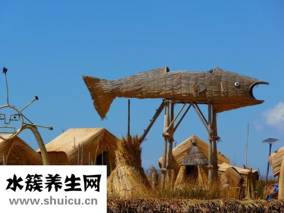 做什么兼职好