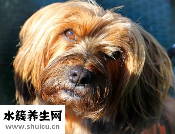 鼻头肥大怎么办