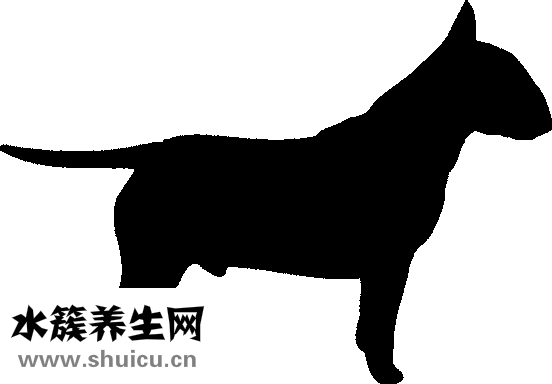 如何让鼻梁变高
