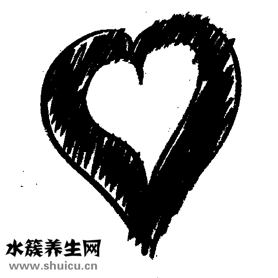 爱心是什么