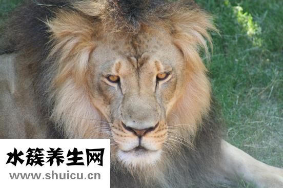 不知道为了什么