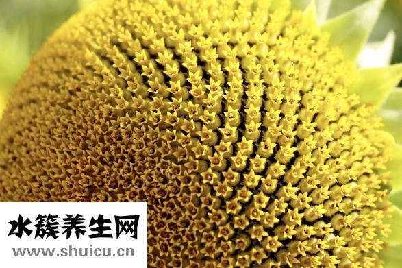 花粉过敏怎么办