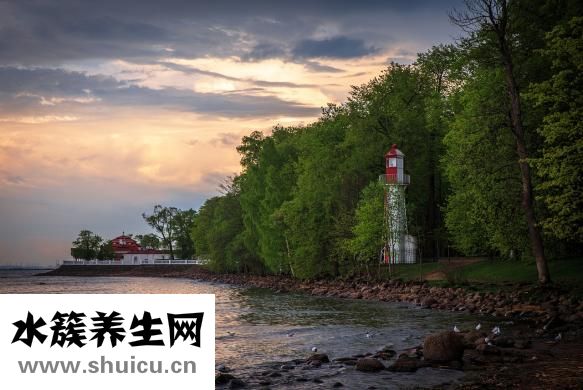 什么叫直系亲属
