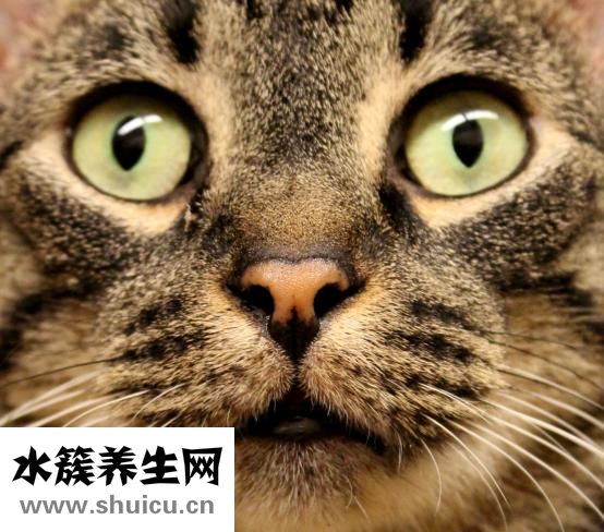 怎么能让眼睛变大