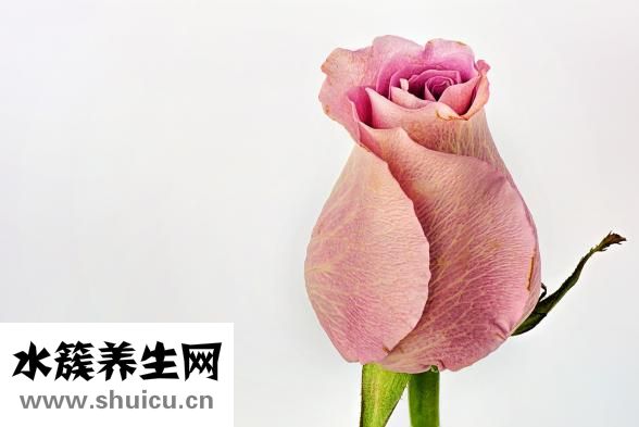 感冒发烧不能吃什么