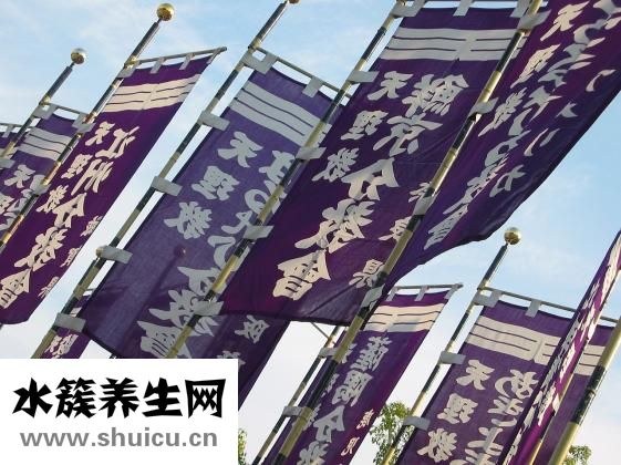乳酪是什么