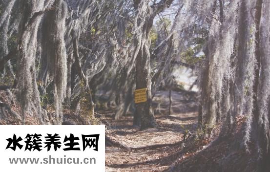运输过程中忽略菠萝蜜外果皮会掉下来