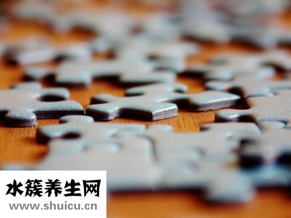 人有多少牙