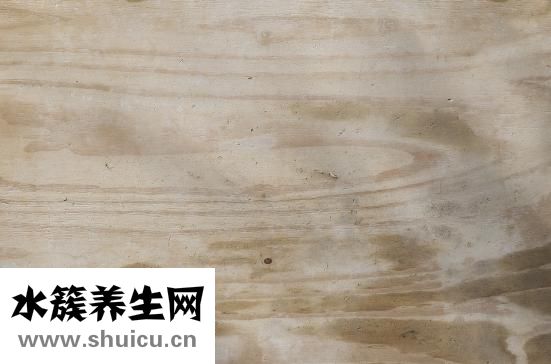 渝是哪里的简称