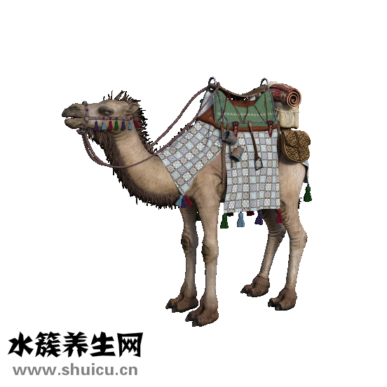 怎么消除颈纹