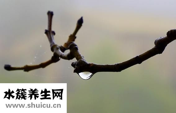 急性肠炎怎么办