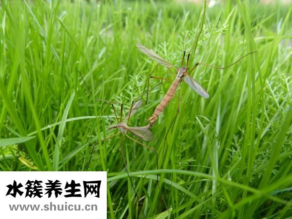宝宝烫伤怎么办