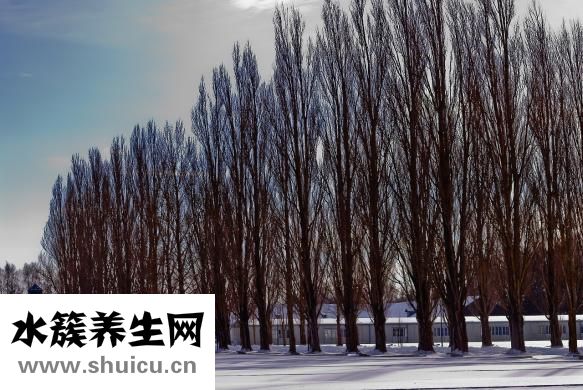 五行缺水怎么办