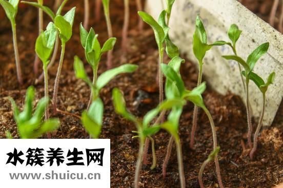 三高是什么