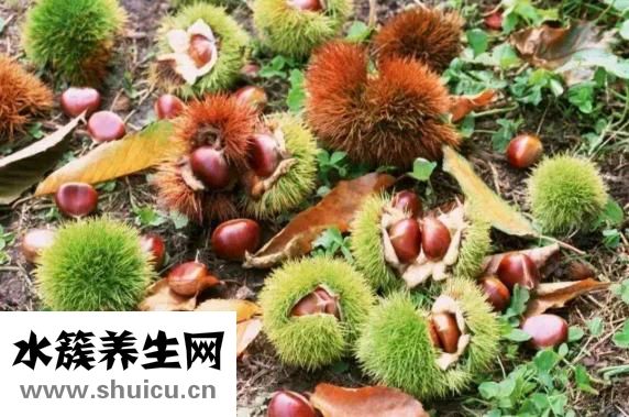 吃板栗有什么好处