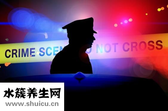 瓢虫吃什么