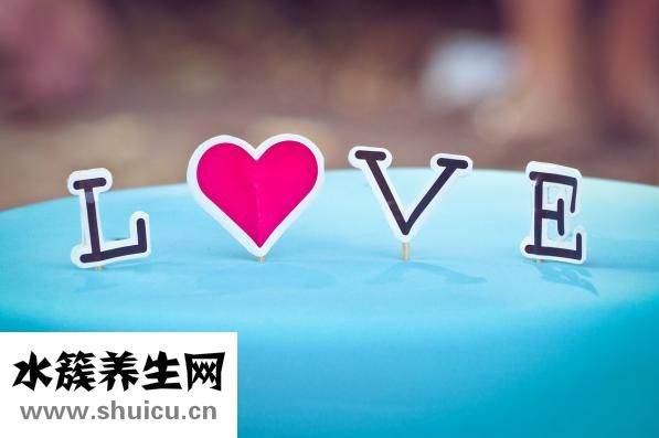 两女一杯是什么