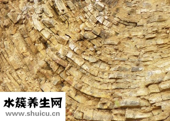 为什么胸大