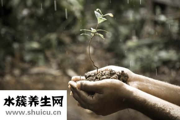 上课想睡觉怎么办