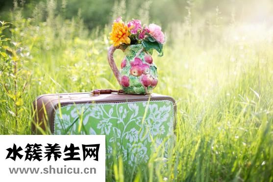 产后如何快速减肥