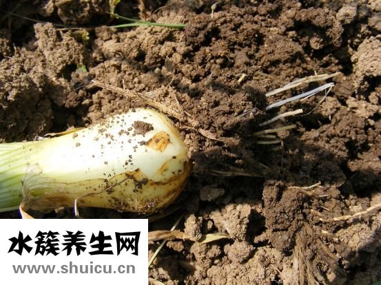 如何治疗失眠症