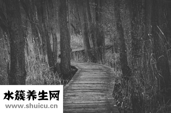 怎么打招呼