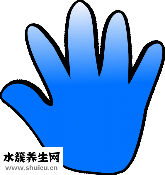什么是断掌