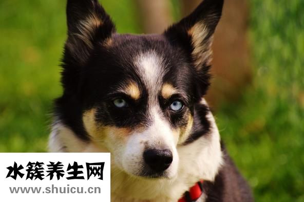 怎么去掉眼袋