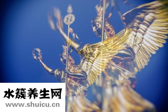 测孕纸怎么用