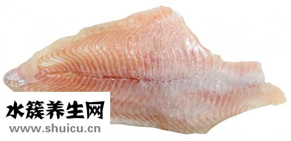 鲶鱼吃什么