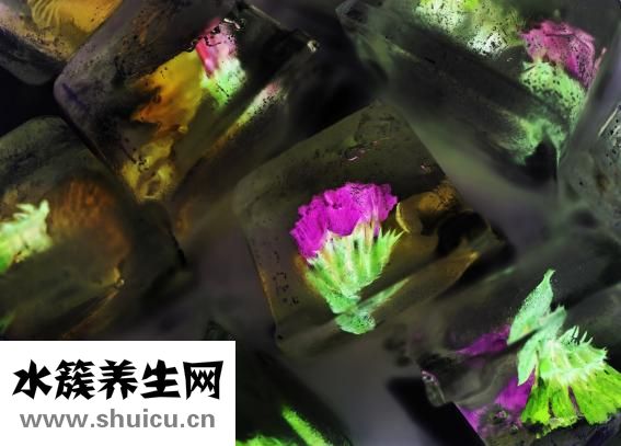 光子嫩肤的效果如何