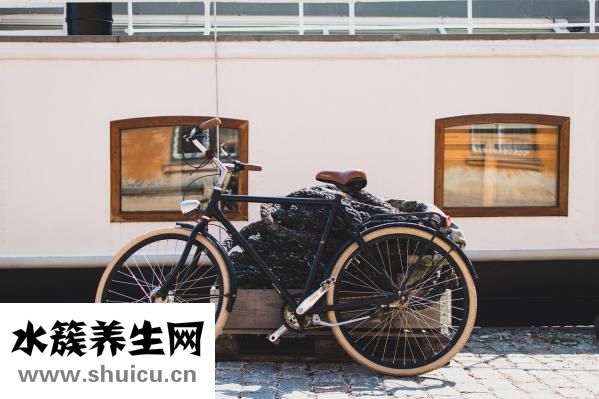 什么减肥效果好