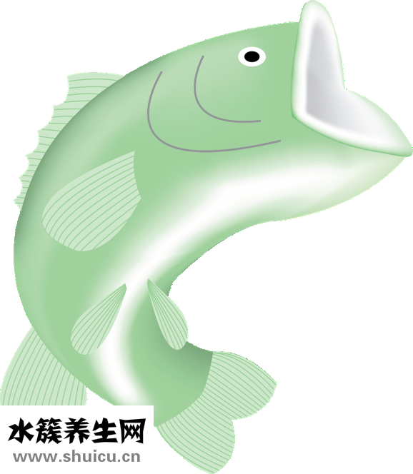 鲶鱼吃什么