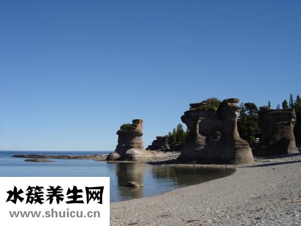 吃鱼不注意卫生营养过剩容易导致肥胖