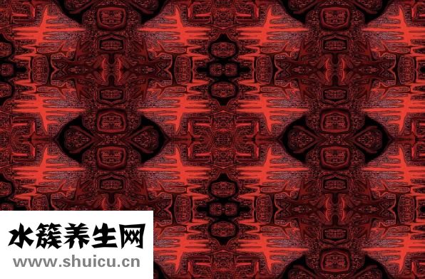 什么是双修