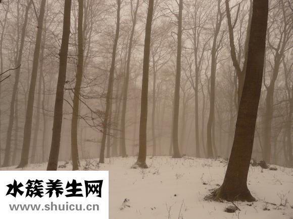 崴脚了怎么办