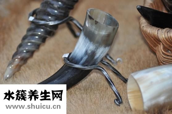 跳蚤怎么杀