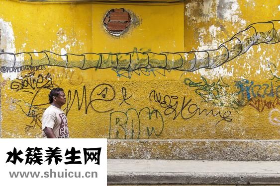 肚子疼吃什么