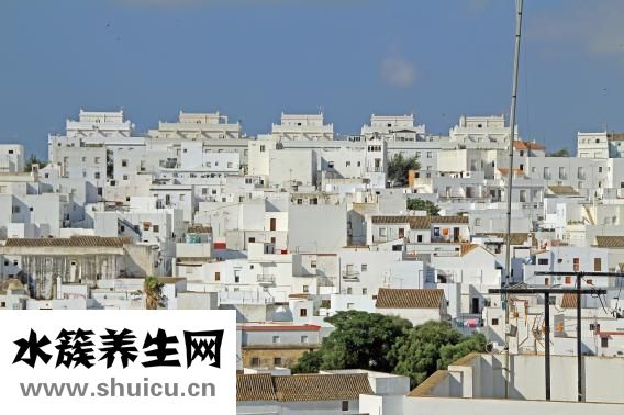如何种植火龙果