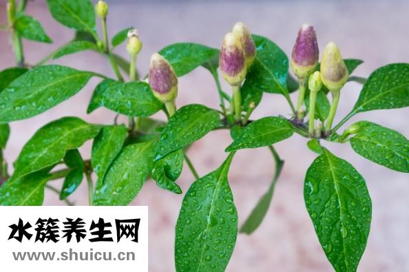 如何延长时间
